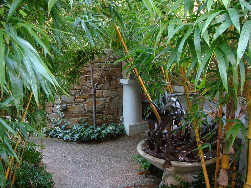 440 Longwood Gardens [2008 August 23].JPG - Longwood Gardens in Pennsylvania